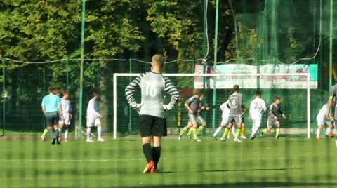 Goalkeeper watching the game Видео 12102349