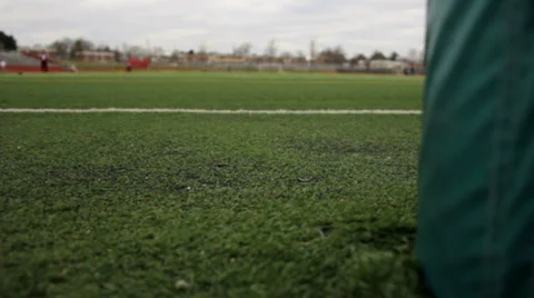 Goalpost Turf Dolly Video stock 34851591