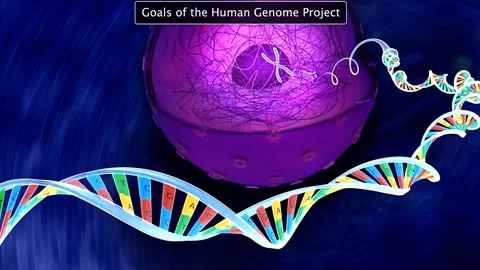 Goals of the human genome project 動画素材 319951489