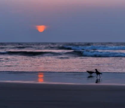 Goan sunset Stock Photos