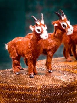Goat cheese Stock Photos