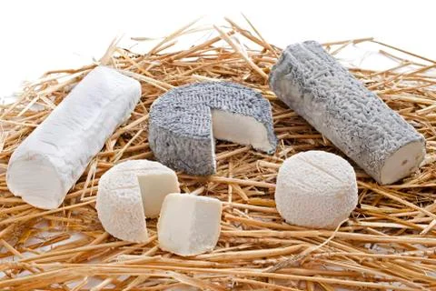 Goat cheeses Stock-Fotos