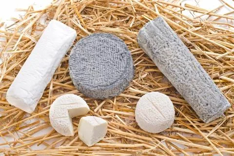 Goat cheeses Stock Photos