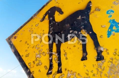Goat Crossing Sign Stock Photos