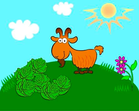 Goat on the field with cabbage Stock Illustration