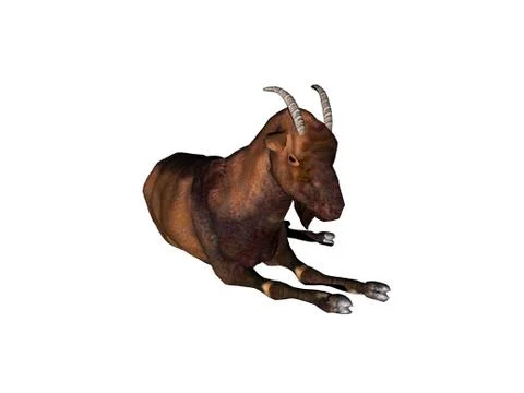 Goat foraging in the pasture Stock Illustration