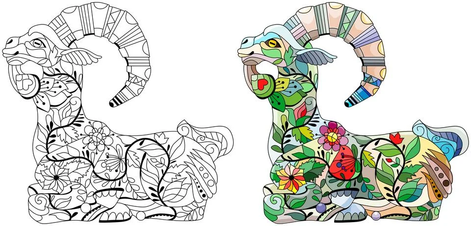 Goat. Hand drawn decorative vector illustration for coloring Stock Illustration