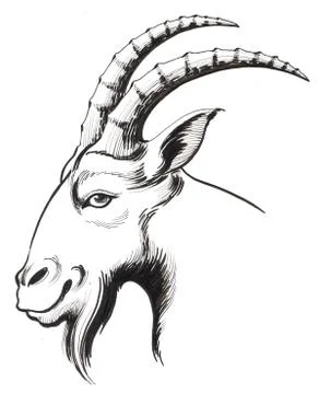 Goat head Illustrazione stock