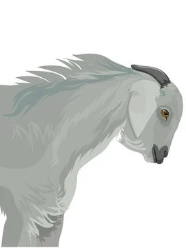 Goat head Stock Illustration