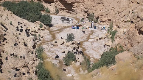 Goat herd in a Moroccan valley Stockbeeldmateriaal 111223743