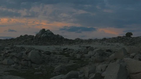 Goat Herd Walking. Stock Footage 115965544