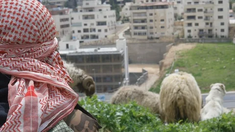 Goat herder1 스톡 동영상 128574788