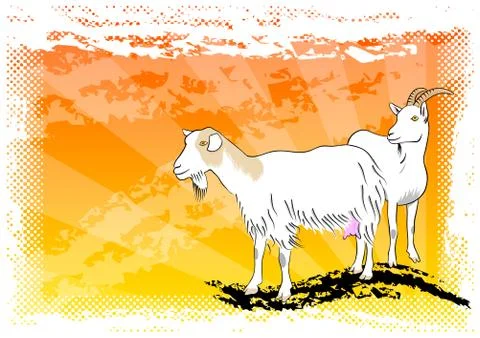 Goat Illustrazione stock
