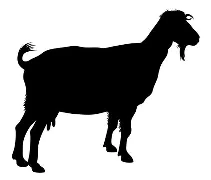 Goat Stock Illustration