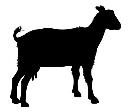 Goat Stock Illustration