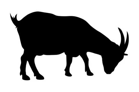 Goat Stock Illustration