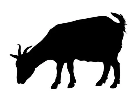 Goat Stock Illustration