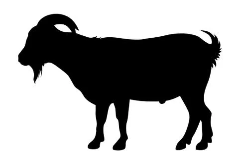 Goat Stock Illustration