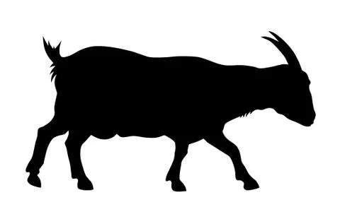Goat Stock Illustration