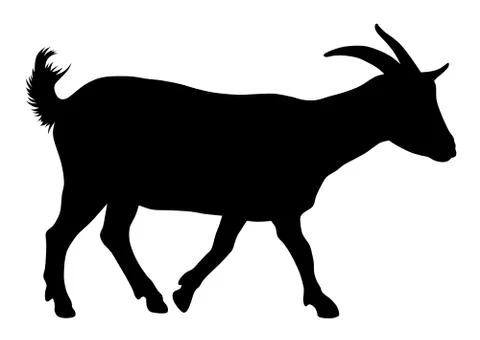 Goat Stock Illustration