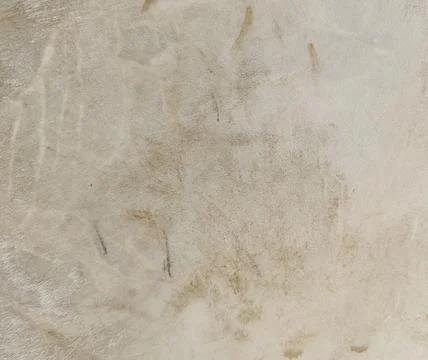 Goat leather texture close up Stock Photos