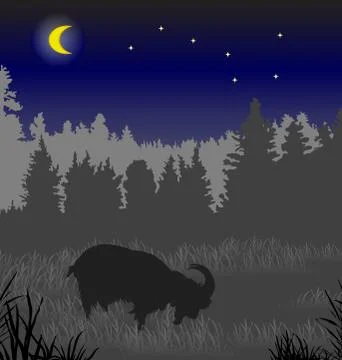 Goat on a meadow Illustrazione stock