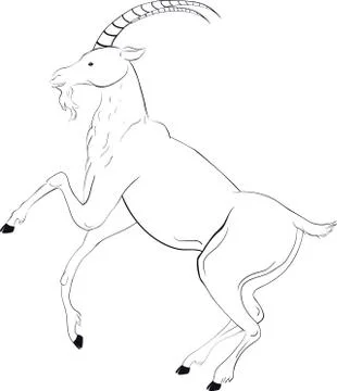 Goat sketch Stock Illustration