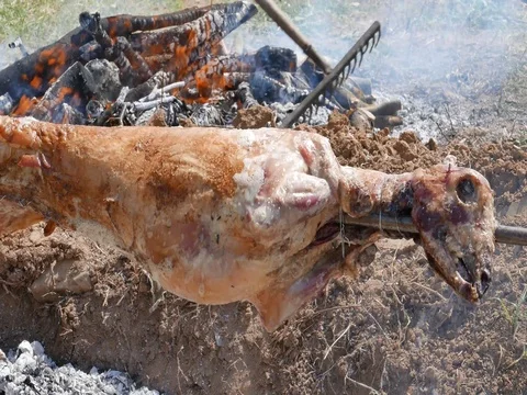 Goat on the spit Stock Footage 75207903