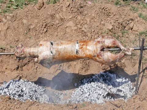 Goat on the spit Stock Footage 75209983
