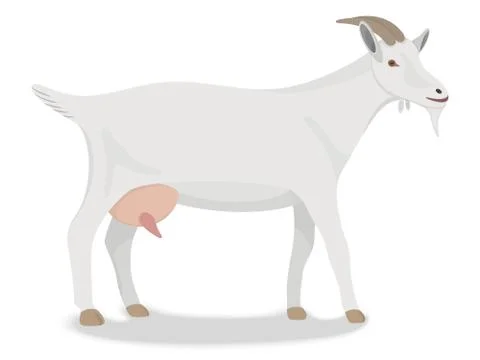 Goat standing up isolated on a white background Stock Illustration
