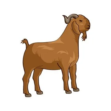 Goat vector illustration. Eid al-Adha Sacrifice celebration festival Illustrazione stock