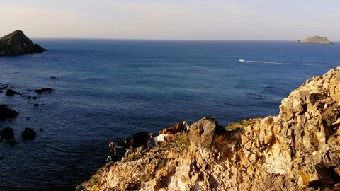 Goats are walking down on the hill by the sea. Stock Footage 102188259