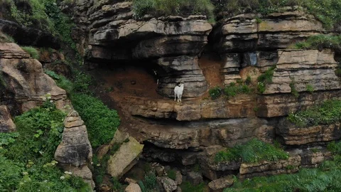 Goats Cliff, Spain Drone 1 Stock Footage