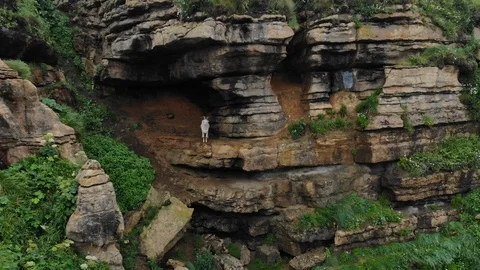 Goats Cliff, Spain Drone 5 Stock Footage 123794017