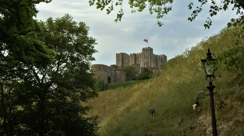 Goats graze on the background of Dover castle. English countryside landscape, UK Видео 58293647