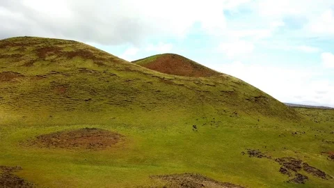 Goats on a Hill Pan Right Video stock 89851207