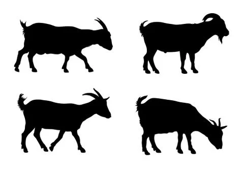 Goats Stock Illustration