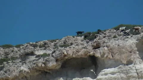 Goats in the mountains Stockbeeldmateriaal 8985660