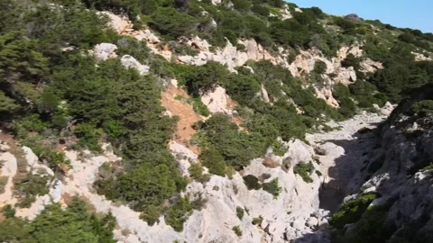 Goats running through a dry valley Video stock 267005573