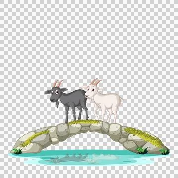 Goats standing on stone bridge over water Ilustração Stock