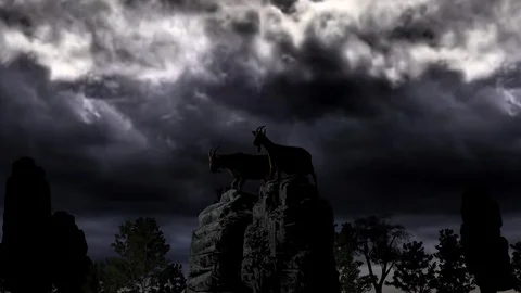 The goats on top of a mountain at sunset Stock Footage 121713529