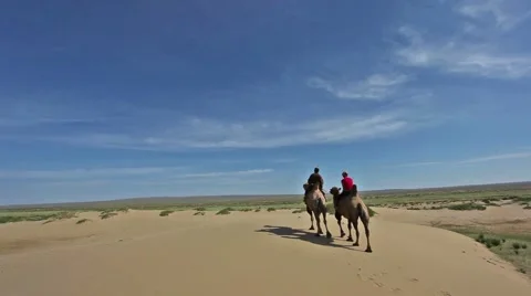 Gobi Desert and Camels 스톡 동영상 60765111