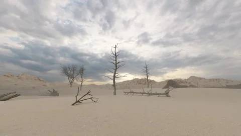 Gobi desert dry dead tree Stock Footage 288077779