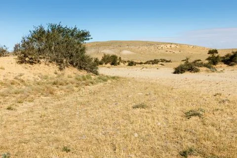 Gobi desert mongolia Stock Photos