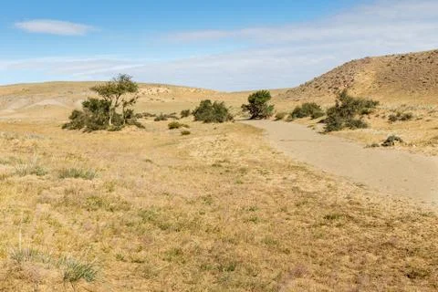 Gobi desert mongolia Stock Photos
