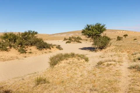Gobi desert mongolia Stock Photos