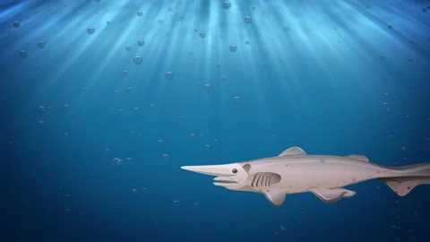 Goblin Shark in Underwater Sunbeam Rays Animation Stock Footage 237062200