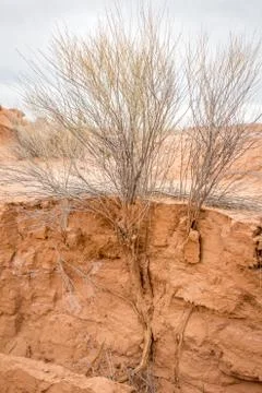 Goblin Valley Foto stock