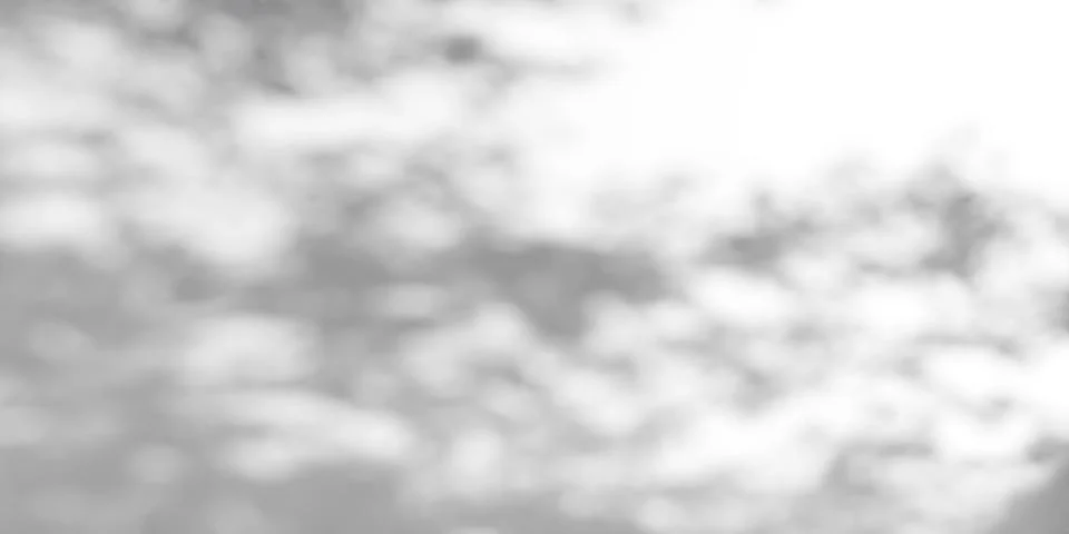 Gobo light effect with leaf shadows on white wall Stock Illustration