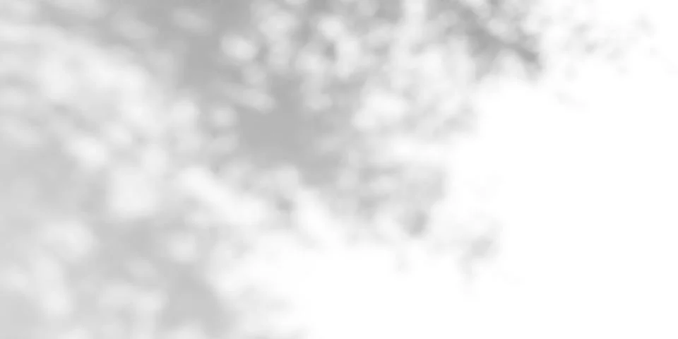 Gobo light effect with leaf shadows on white wall Stock Illustration